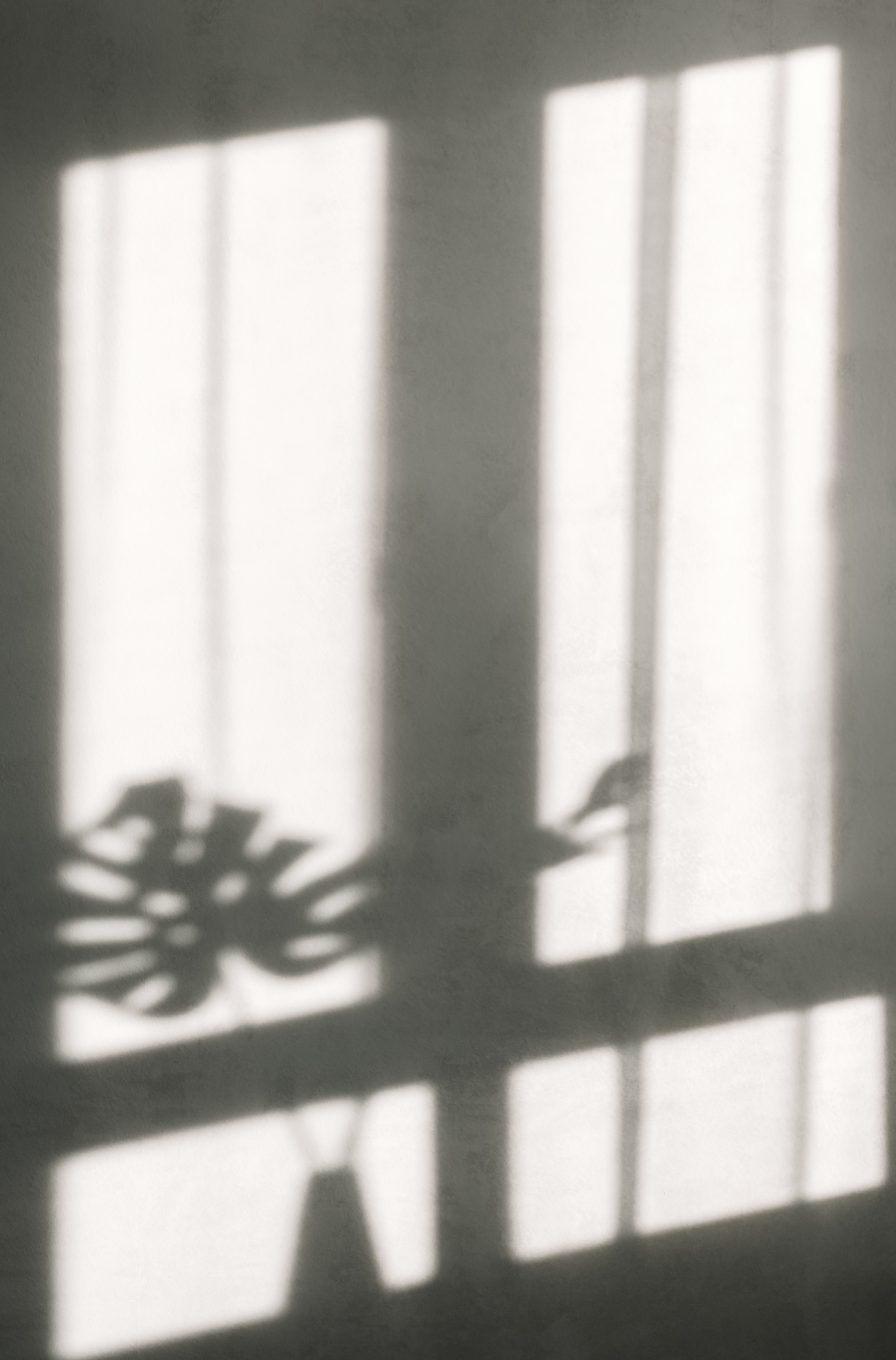 White wall with window shadow